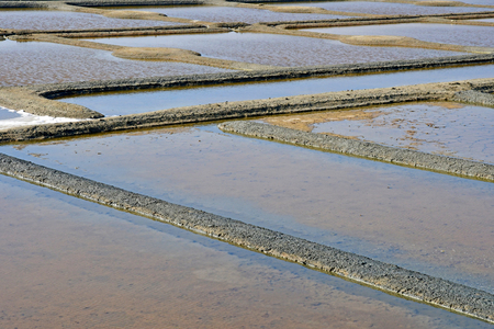 Guerande, France - april 14 2017 : landscape of the salt marshesのeditorial素材