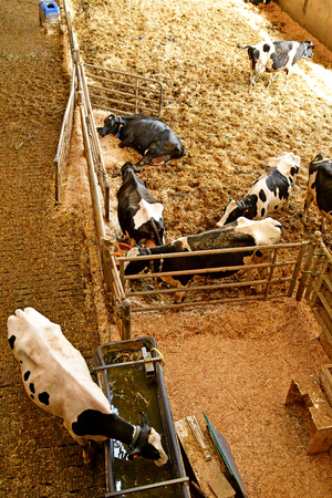 Thiverval Grignon, France - april 21 2019 : the Agroparistech farmのeditorial素材