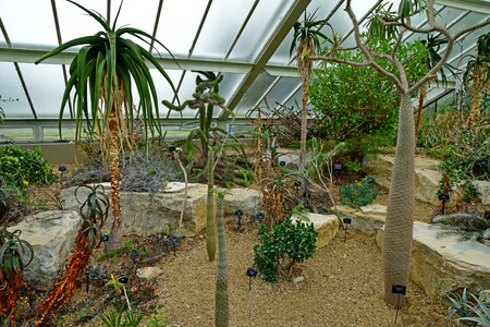 London; Kew, England - may 5 2019 : Princess of Wales Conservatory in the Kew Royal Botanic Gardensのeditorial素材