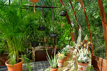 Chaumont sur Loire; France - june 29 2019: the festival international des jardinsのeditorial素材