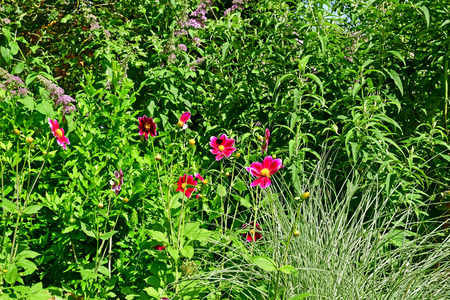 Chaumont sur Loire; France - june 29 2019: the festival international des jardinsのeditorial素材
