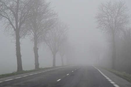 Cassel, France - january 25 2020 : fog on the roadのeditorial素材