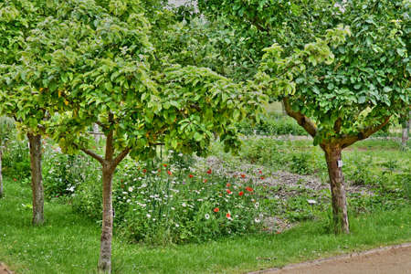 La Roche Guyon; France - july 27 2018 : the castle gardenのeditorial素材