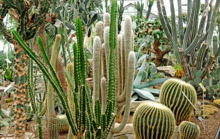 Montreal, Quebec; Canada- june 25 2018 : the botanical garden created in 1931のeditorial素材