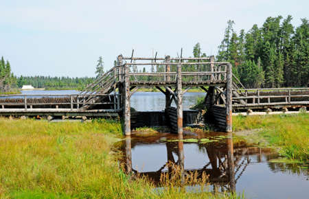 Quebec; Canada- june 25 2018 : the Saint Felicien zooのeditorial素材