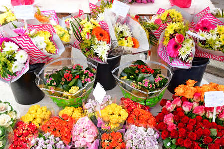 Dunkerque, France - january 25 2019 : the saturday marketのeditorial素材