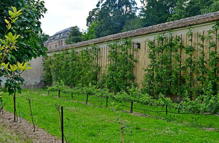 Versailles; France - june 16 2019 : kitchen garden of the king Louis 14, created in 1683のeditorial素材