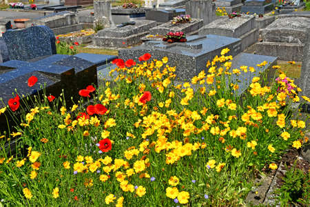 Aubergenville; France - May 18 2020: the cemeteryのeditorial素材