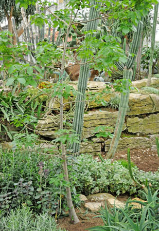 Montreal, Quebec; Canada- June 25 2018: the botanical garden created in 1931のeditorial素材