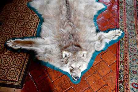 Cere la Ronde, France - july 15 2020: the medieval castle of Montpouponのeditorial素材