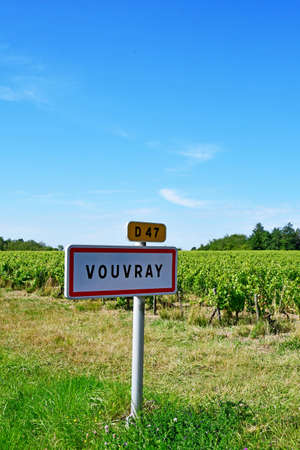 Vouvray; France - july 15 2020: the vineyardのeditorial素材