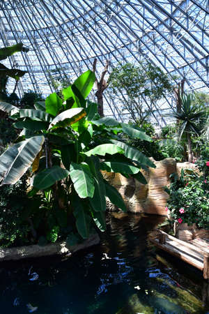 Saint Aignan; France - july 12 2020: dome of the zoological park of Beauvalのeditorial素材