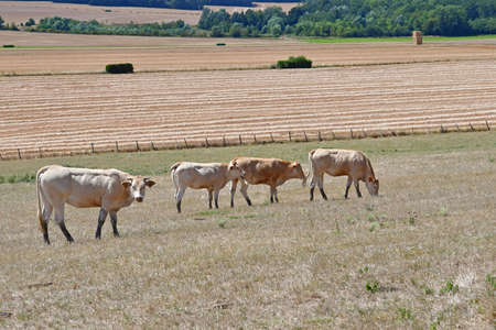 Authevernes; France - july 22 2020: the picturesque village in summerのeditorial素材