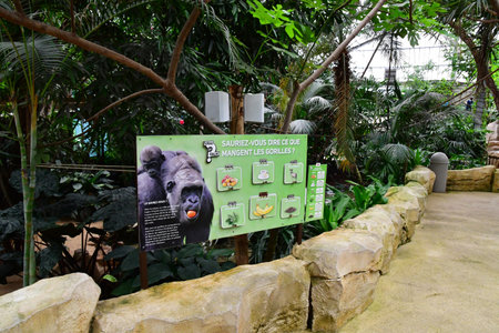 Saint Aignan; France - july 12 2020: the zoological park of Beauvalのeditorial素材