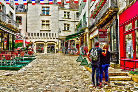 Loches; France - july 15 2020: the city in summerのeditorial素材