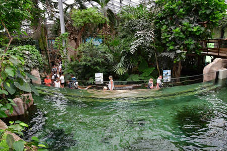 Saint Aignan; France - july 12 2020: the zoological park of Beauval