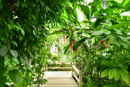 Paris; France - july 8 2021: the Auteuil greehouses garden created in 1898