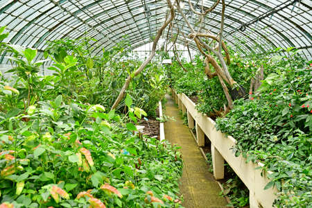 Paris; France - july 8 2021: the Auteuil greehouses garden created in 1898のeditorial素材
