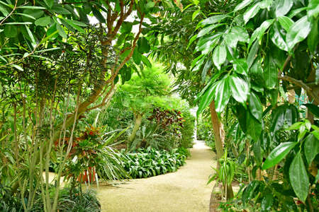 Paris; France - july 8 2021: the Auteuil greehouses garden created in 1898のeditorial素材