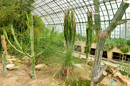Paris; France - july 8 2021: the Auteuil greehouses garden created in 1898のeditorial素材