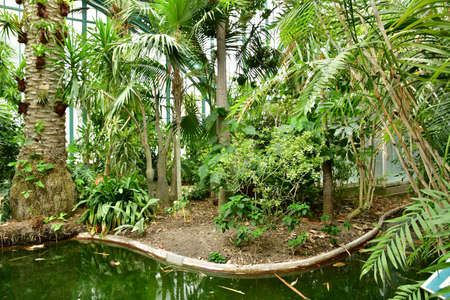 Paris; France - July 8 2021: the Auteuil greehouses garden created in 1898のeditorial素材