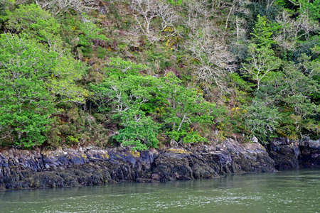 Finistere; France - May 16 2021: a beautiful cruise between Benodet and Quimper on the Odet riverのeditorial素材