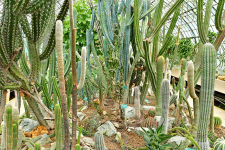 Paris; France - July 8 2021: the Auteuil greehouses garden created in 1898のeditorial素材