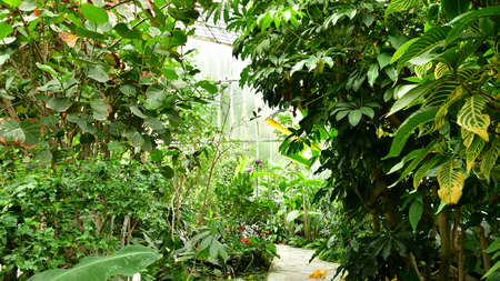 Paris; France - July 8 2021: the Auteuil greehouses garden created in 1898のeditorial素材