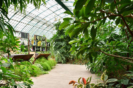 Paris; France - July 8 2021: the Auteuil greehouses garden created in 1898のeditorial素材