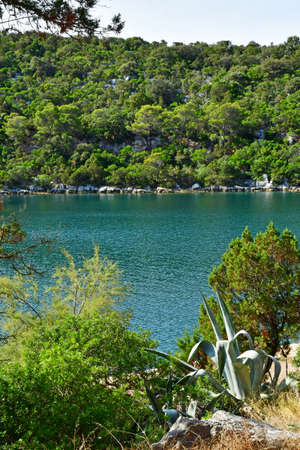 the Mljet island, Croatia- September 3 2021: the picturesque island in summerのeditorial素材