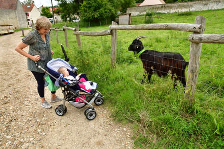 Jouy le Moutier; France - august 2 2021: goat in the Ecancourt farmのeditorial素材