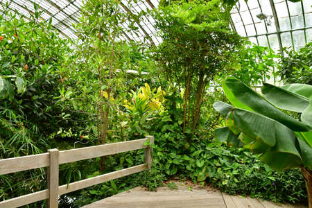 Paris; France - july 8 2021: the Auteuil greehouses garden created in 1898のeditorial素材