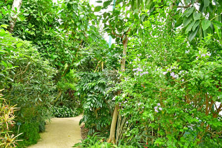 Paris; France - july 8 2021: the Auteuil greehouses garden created in 1898のeditorial素材