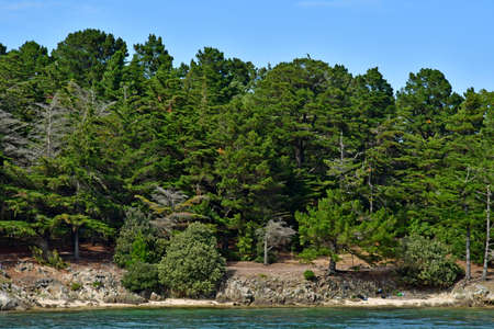 France - june 6 2021: small cruise in the Morbihan gulfのeditorial素材