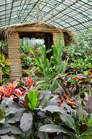 Paris; France - july 8 2021: the Auteuil greehouses garden created in 1898のeditorial素材