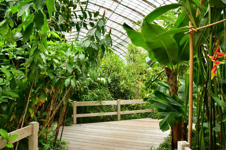 Paris; France - july 8 2021: the Auteuil greehouses garden created in 1898のeditorial素材