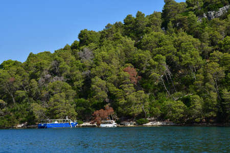 the Mljet island, Croatia- september 3 2021: the picturesque island in summerのeditorial素材