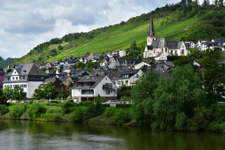 Moselle valley; Klotten,Germany- August 11 2021: the valley of vineyardのeditorial素材