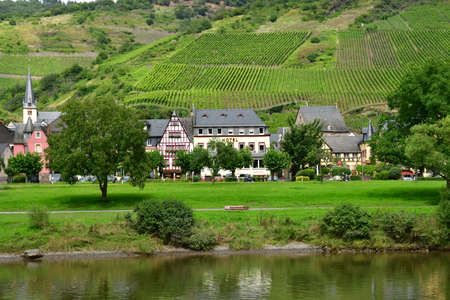 Moselle valley; Ediger,Germany- August 11 2021: the valley of vineyardのeditorial素材