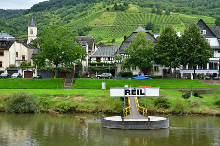 Moselle valley; Reil, Germany- August 11 2021: the valley of vineyardのeditorial素材