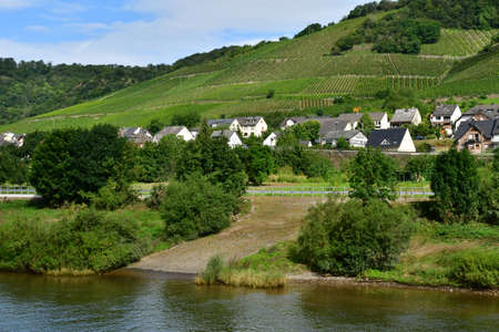 Moselle valley; Germany- August 11 2021: the valley of vineyardのeditorial素材
