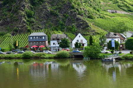 Moselle valley; Germany- August 11 2021: the valley of vineyardのeditorial素材