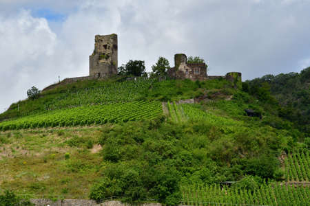Moselle valley; Klotten,Germany- August 11 2021: the valley of vineyardのeditorial素材