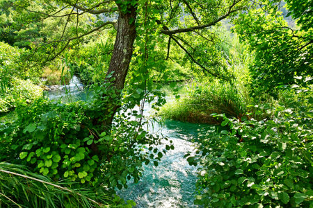 Croatia; Sibenik - September 5 2021: the picturesque National Park of Krka