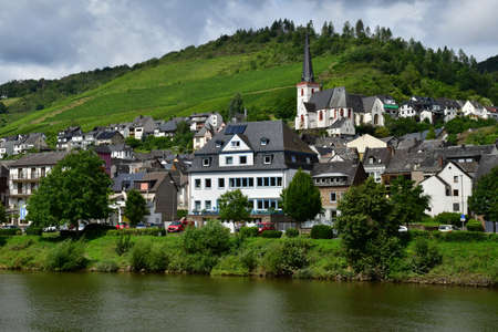 Moselle valley; Klotten,Germany- August 11 2021: the valley of vineyardのeditorial素材