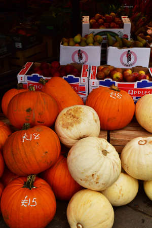 London; Hampstead; England - October 21 2021: pumpkinsのeditorial素材