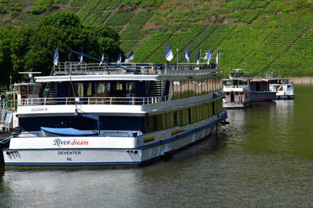 Moselle valley; Briedern, Germany- August 11 2021: the valley of vineyardのeditorial素材