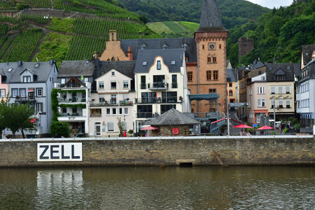 Moselle valley; Zell, Germany- August 11 2021: the valley of vineyard