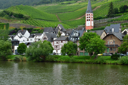 Moselle valley; Merl,Germany- august 11 2021: the valley of vineyard