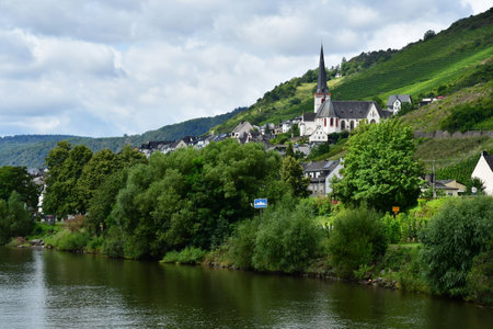 Moselle valley; Klotten,Germany- august 11 2021: the valley of vineyardのeditorial素材